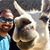 Ankur Agarwal's profile image