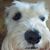 Teresa Talbot's profile image