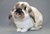 Lynne C.'s profile image
