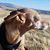 Lisa Miller's profile image
