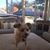 Cathy Langevin Teed's profile image