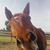 Debbie Krimsley's profile image