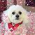 Janice DeNomie Skinner's profile image