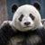 Jiun-Ren Wang's profile image