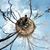 Gene Smirnov's profile image