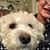 Maryle Olivier's profile image