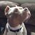 Jason Humbles's profile image