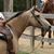 Dawn Cooper Mitchener's profile image