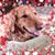 Laura Gilmartin's profile image