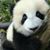 Daniel Stephenson's profile image