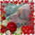 Joanne Murdock's profile image