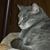 Randi Bigler's profile image