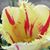 Lindaura Martinez's profile image