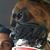 Kelly Ann Washington's profile image
