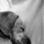 Jo Baughman's profile image