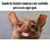 Diego Armando Gamboa Baldoceda's profile image