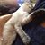 Jackie Fales's profile image