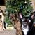 Michelle Fabry's profile image