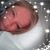 Eileen Wilson's profile image