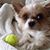 Bonnie Mattingly's profile image