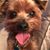 Loretta Kletzli's profile image