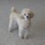Janet Picardo's profile image