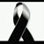 Susie Sanchez's profile image