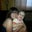 Elizabeth Rosado's profile image