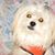 Marcia White's profile image