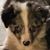 Nanci Grisham's profile image