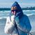Cheryl Healey's profile image