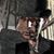 Robert McDonald's profile image