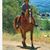 Dianna Chapek's profile image