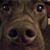 Andrew Heine's profile image