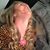 Lindsey Galligan's profile image