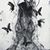 Haley Brame's profile image