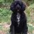 Shelly Hlifka's profile image