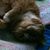 Paula Ormond's profile image