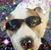 Apryl Newton's profile image