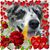 Maria Korny's profile image