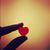 Denise Gustafson's profile image