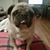 Marcia Silverman's profile image