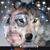 Rigo Flores Flores's profile image