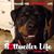 Tracy Holt's profile image