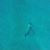 Manolis Mylonakis's profile image