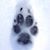 Susan Gobin Keefe's profile image