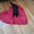 Susan Lurier's profile image