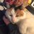 Karen Fleckenstein's profile image
