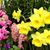 AnnMarie Spero's profile image