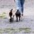 Deanna Marlatt's profile image